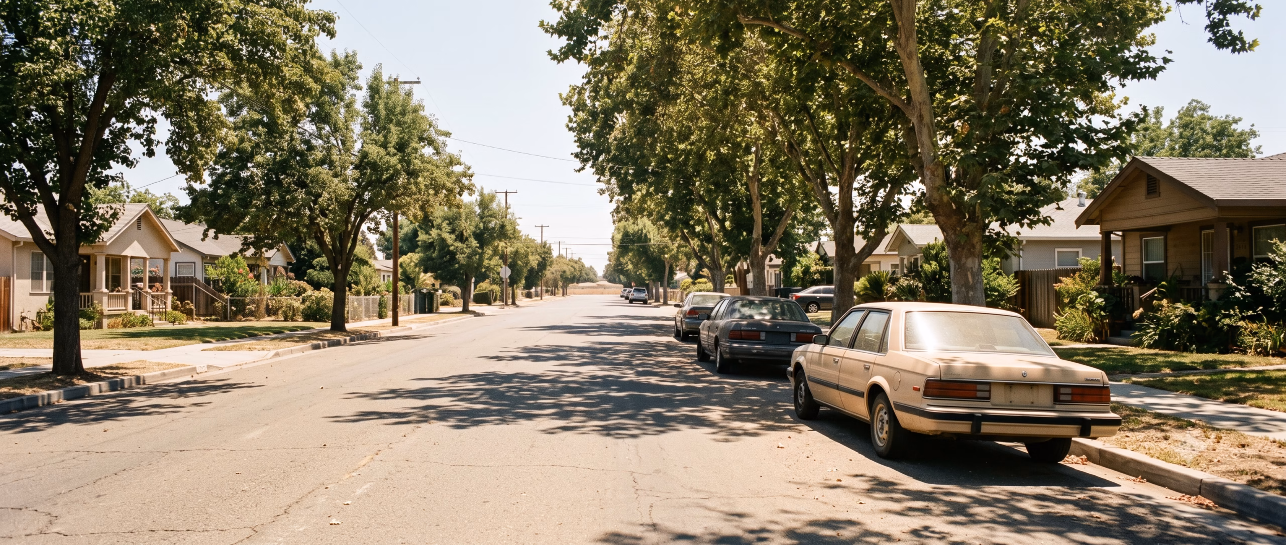 A residential Sacramento street at midday in July, warm sunlight hitting parked cars, mature trees casting partial shade, shimmering asphalt in the distance suggesting summer heat.